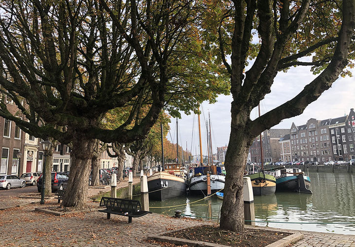 Dordrecht city card