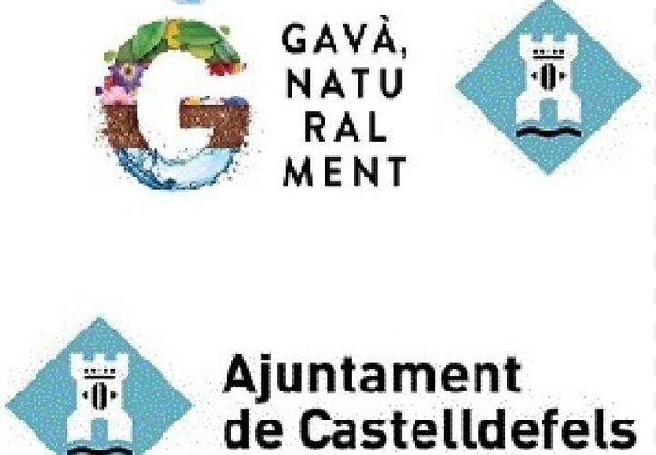 Gave - banner